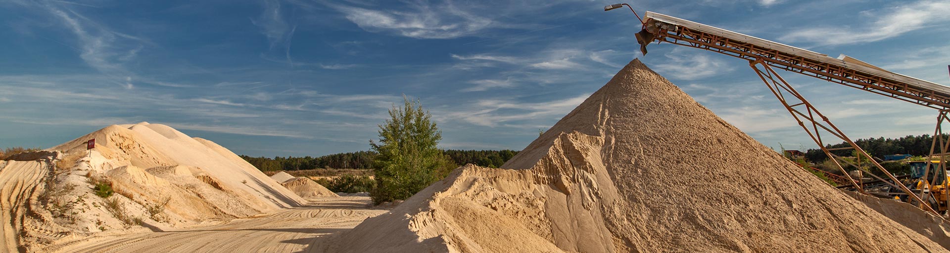 Verarbeitungsgesellschaft